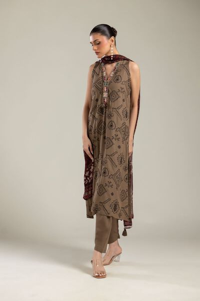 Embroidered | Raw Silk | Silk Brown Shalwar | USD 9.00