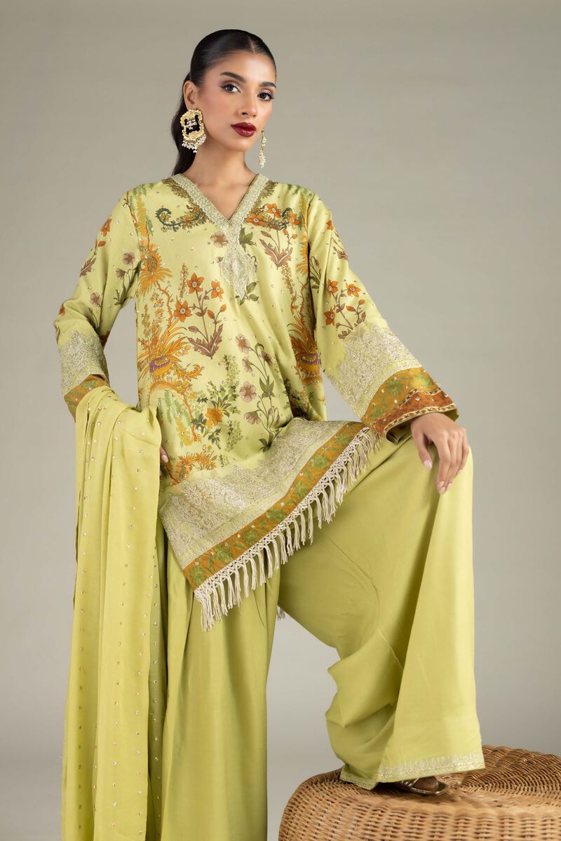 Embroidered | Raw Silk | 3 Piece Co-ord Set | null