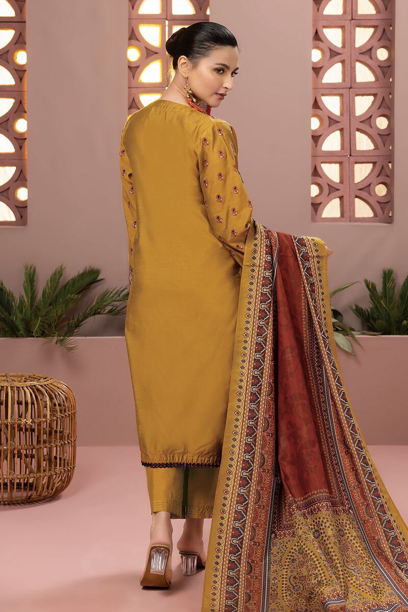 Embroidered | Dull Raw Silk | Fabrics 3 Piece | null