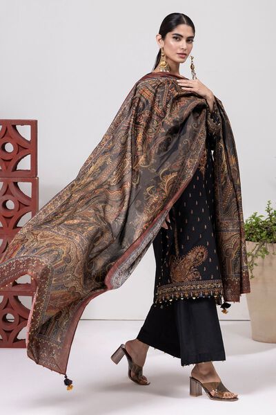 Dull Raw Silk | Embroidered | Fabrics 3 Piece | USD 70.00