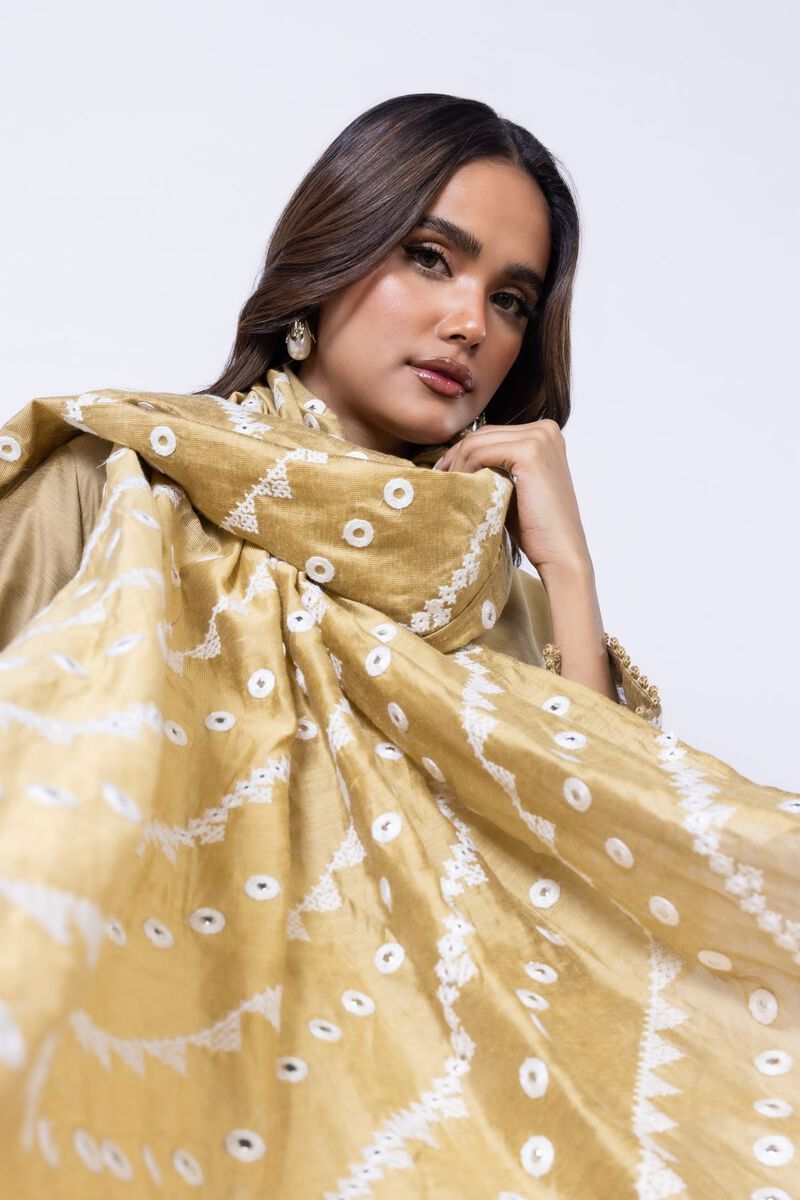 Embroidered | Cotton Net | Dupatta | null