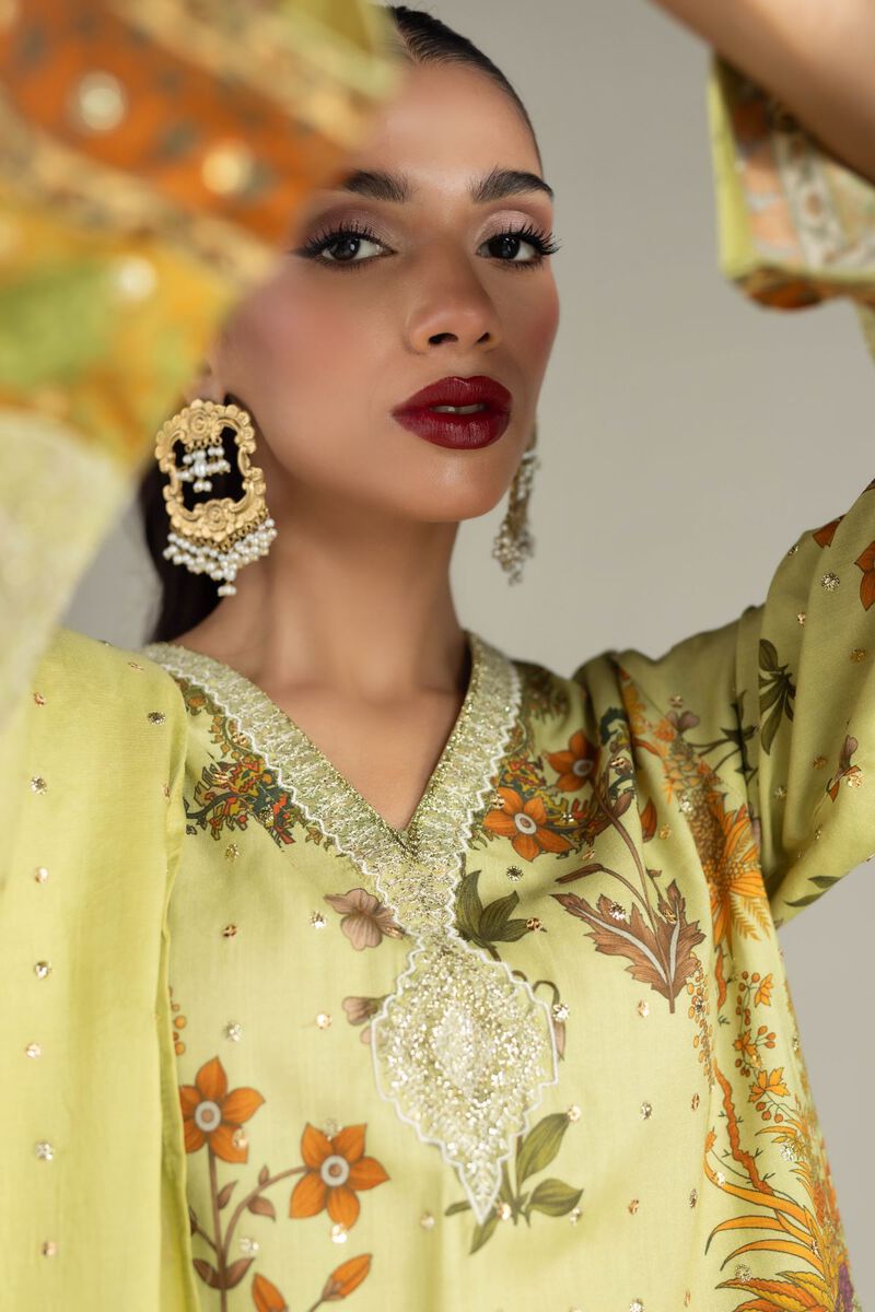Embroidered | Raw Silk | 3 Piece Co-ord Set | null