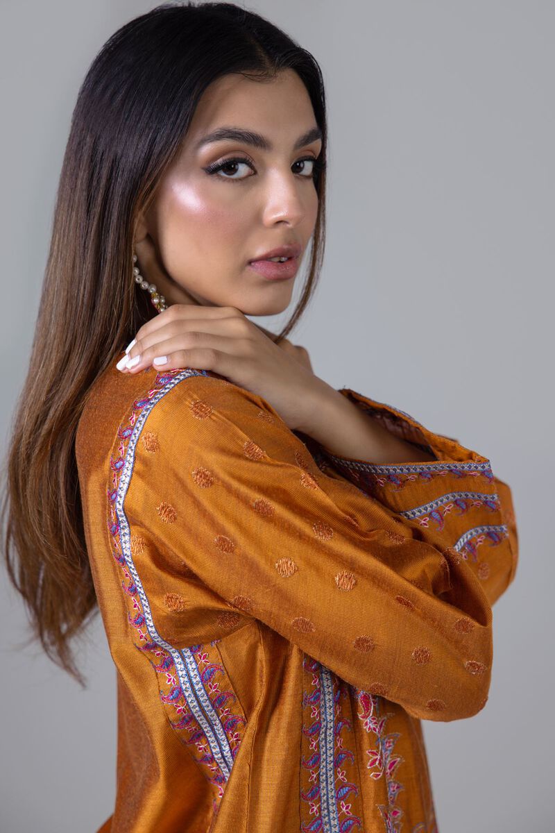 Embroidered | Cotton Net | Kurta | null