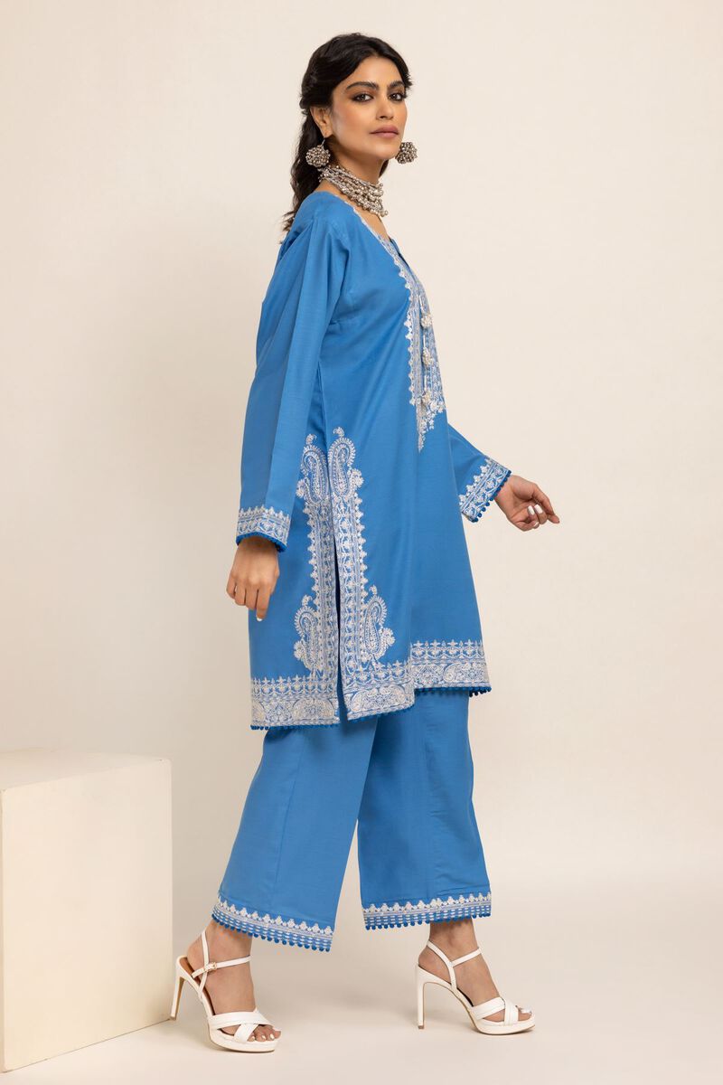 Embroidered | Dull Raw Silk | Kurta | null